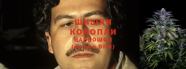 2c-b Бородино
