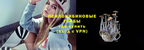 твердый Бугульма