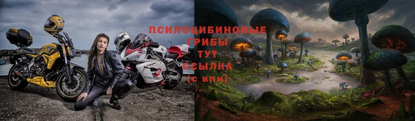 2c-b Бородино