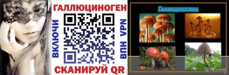 Купить Ядрин Псилоцибиновые грибы мицелий